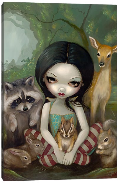 Snow White And Her Animal Friends Canvas Art Print - Raccoon Art