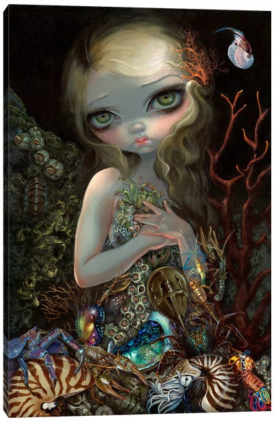 Soft Shell Canvas Art Print - Mermaid Art
