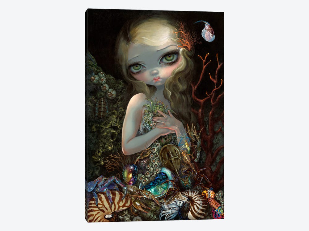 Soft Shell by Jasmine Becket-Griffith 1-piece Canvas Art Print