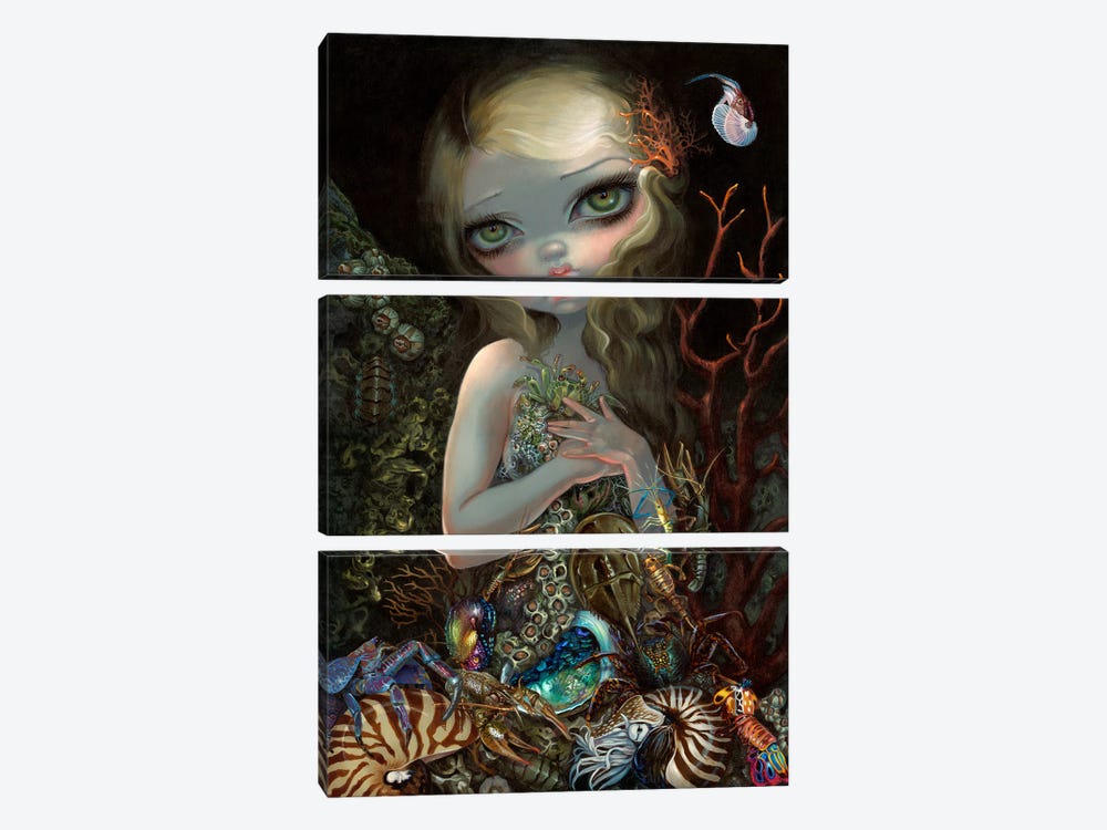 Soft Shell by Jasmine Becket-Griffith 3-piece Art Print