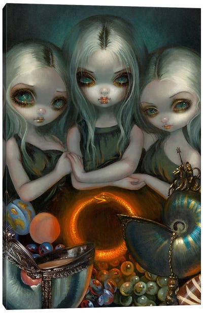 Allegory Of Infinity Canvas Art Print - Jasmine Becket-Griffith