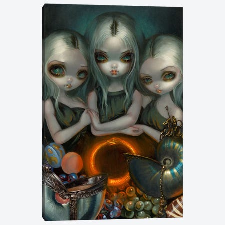 Allegory Of Infinity Canvas Print #JGF13} by Jasmine Becket-Griffith Canvas Wall Art