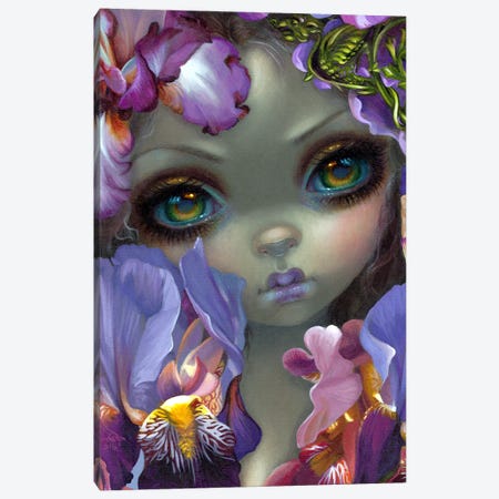 The Language Of Flowers III Canvas Print #JGF148} by Jasmine Becket-Griffith Canvas Artwork