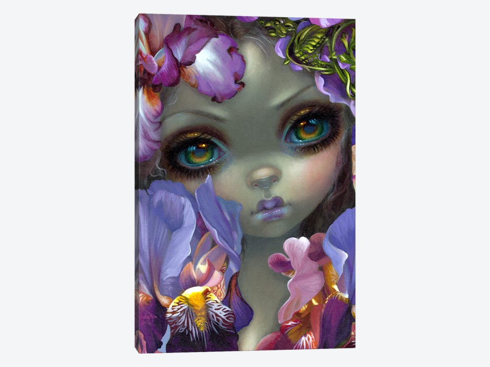 The Language Of Flowers III by Jasmine Becket-Griffith 1-piece Canvas Art