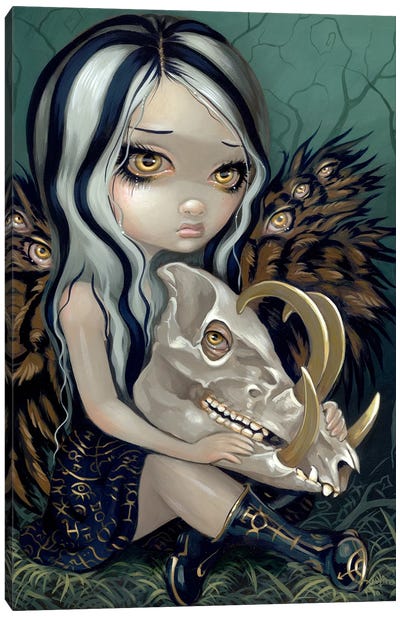 Babirusa Skull Canvas Art Print - Jasmine Becket-Griffith