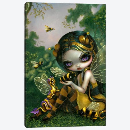 Bumble Bee Dragonling Canvas Print #JGF39} by Jasmine Becket-Griffith Canvas Art