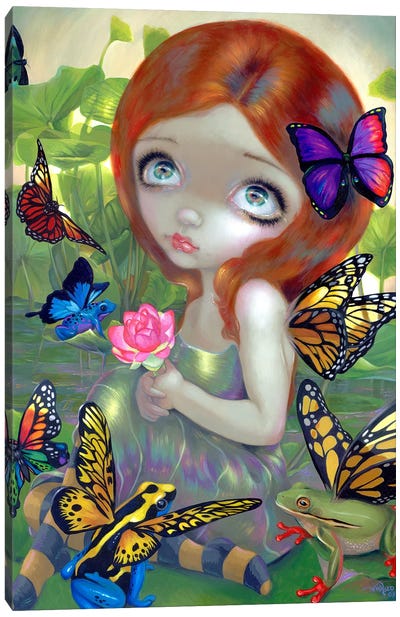 Daydreams And Frogs Canvas Art Print - Jasmine Becket-Griffith