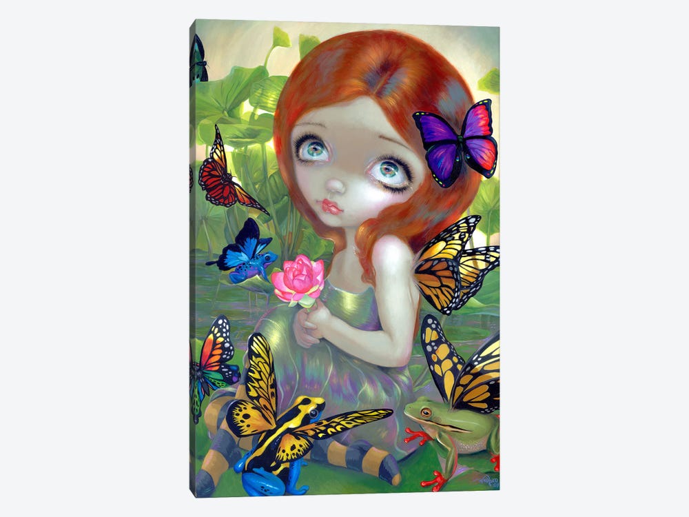 Daydreams And Frogs by Jasmine Becket-Griffith 1-piece Canvas Artwork