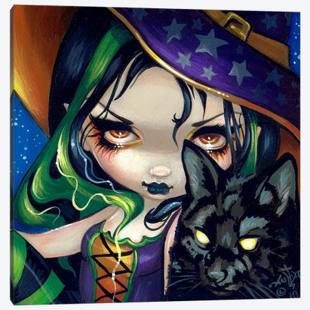 Faces Of Faery CXIV Canvas Print #JGF64} by Jasmine Becket-Griffith Canvas Art