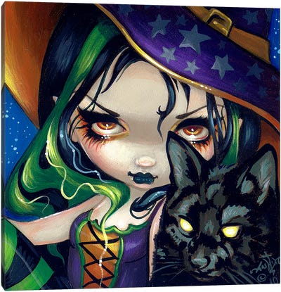 Faces Of Faery CXIV Canvas Art Print - Witch Art