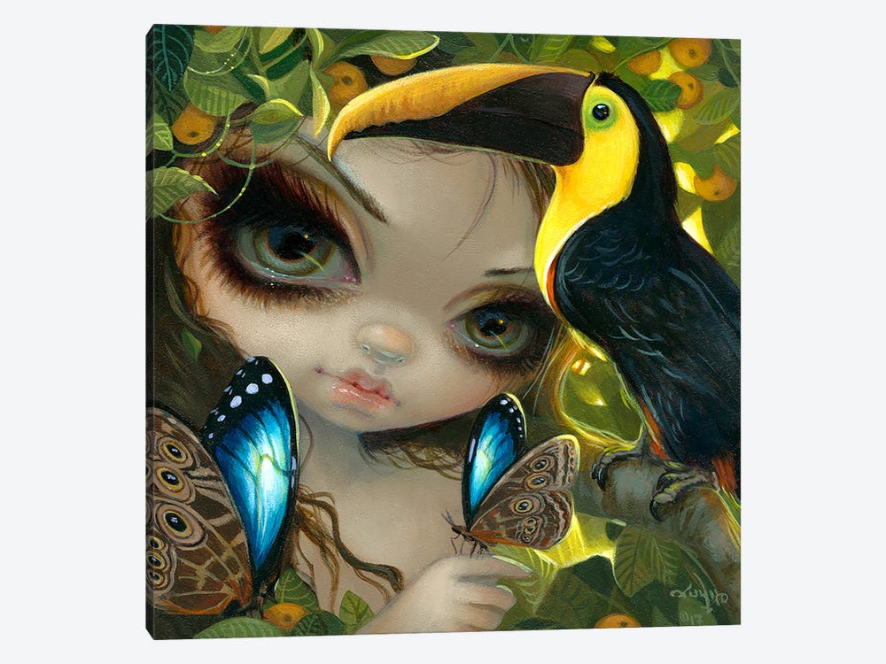 Faces Of Faery CCXXXVI by Jasmine Becket-Griffith 1-piece Canvas Wall Art