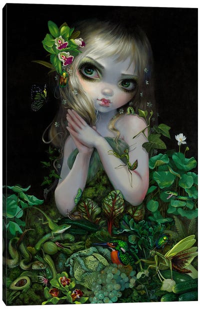 Green Goddess Canvas Art Print - Fairy Art