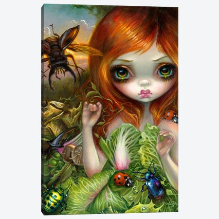 Insectarium I Canvas Print #JGF80} by Jasmine Becket-Griffith Canvas Print