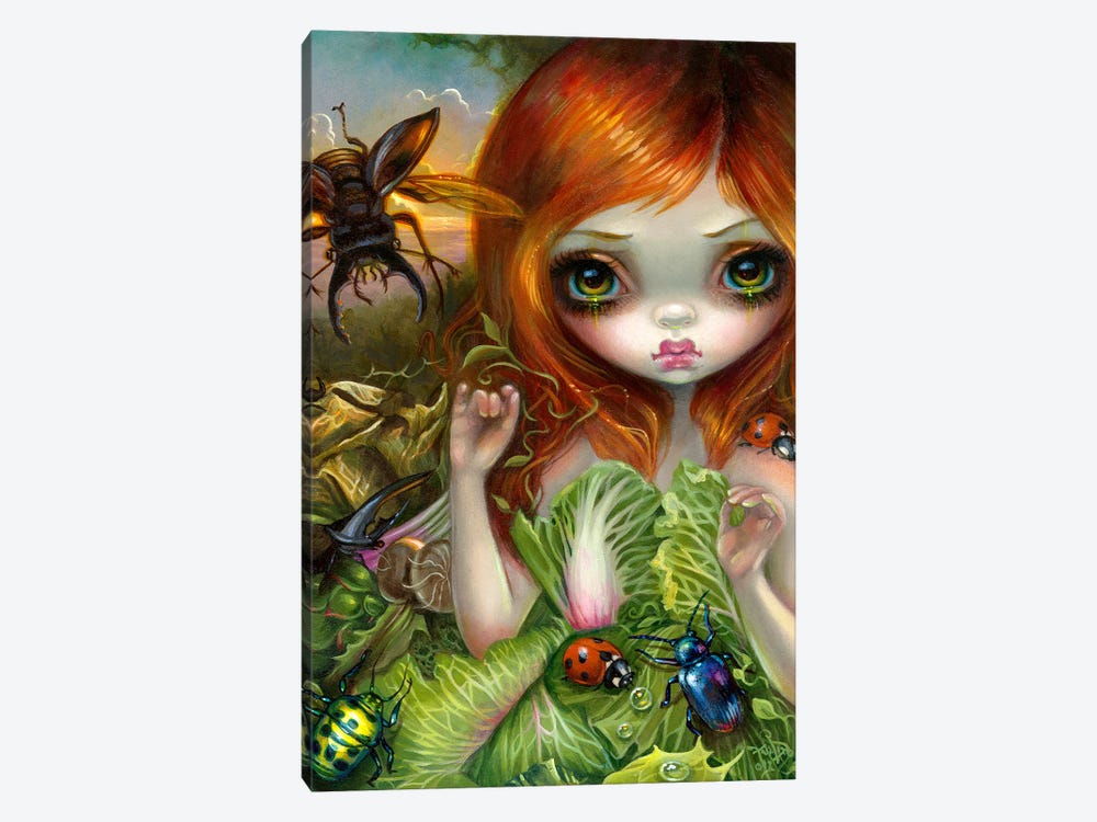 Insectarium I by Jasmine Becket-Griffith 1-piece Canvas Print