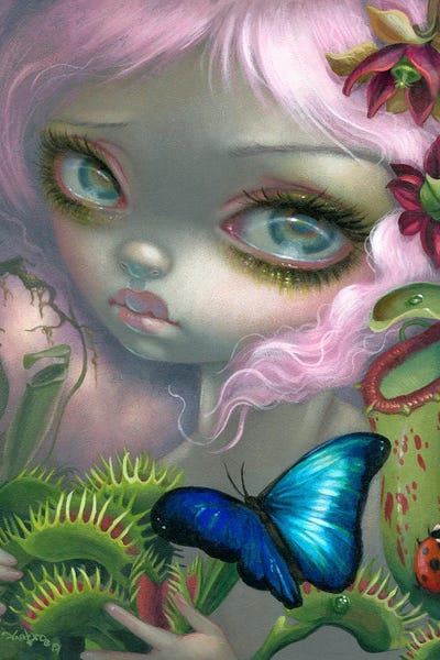 Insectarium II by Jasmine Becket-Griffith framed canvas print