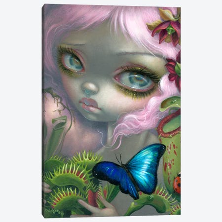 Insectarium II Canvas Print #JGF81} by Jasmine Becket-Griffith Canvas Print