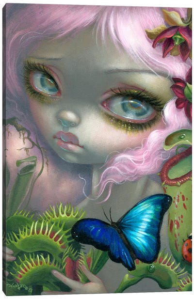 Insectarium II Canvas Art Print - Pop Surrealism & Lowbrow Art