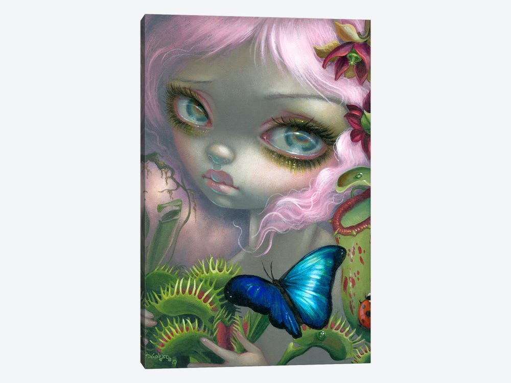 Insectarium II by Jasmine Becket-Griffith 1-piece Canvas Wall Art