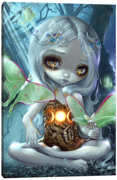 Luna Moths Canvas Art Print - Fairy Art