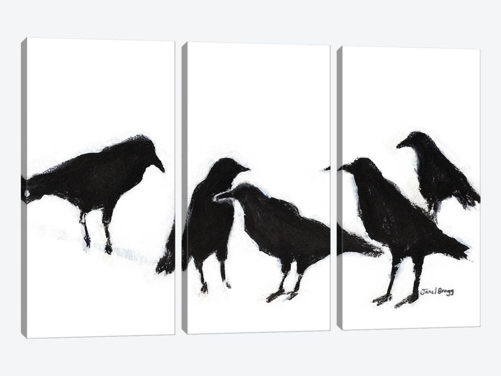A Conspiracy Of Ravens II by Janel Bragg 3-piece Art Print