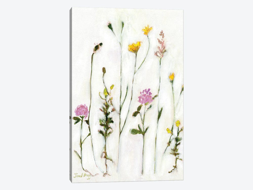 Chamomile, Clover And Dandelion by Janel Bragg 1-piece Canvas Art Print