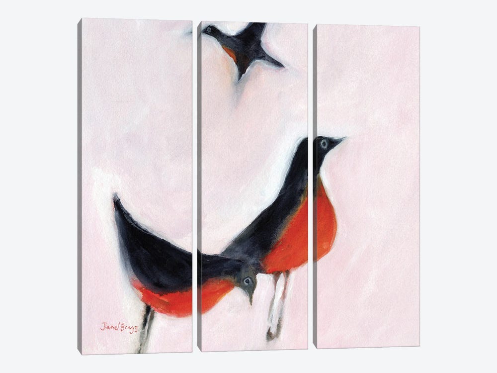 Robins From Memory by Janel Bragg 3-piece Canvas Artwork