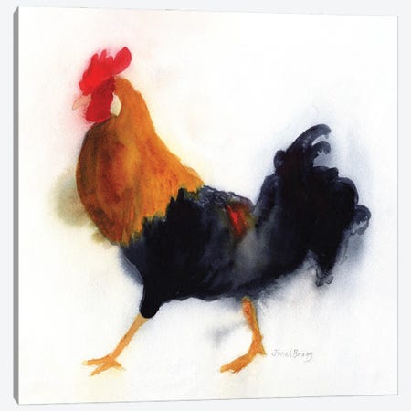 Rooster At Lydgate Park, Kauai Canvas Print #JGG7} by Janel Bragg Canvas Art