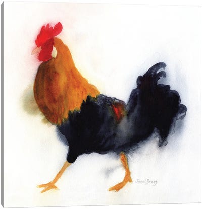 Rooster At Lydgate Park, Kauai Canvas Art Print - Chicken & Rooster Art