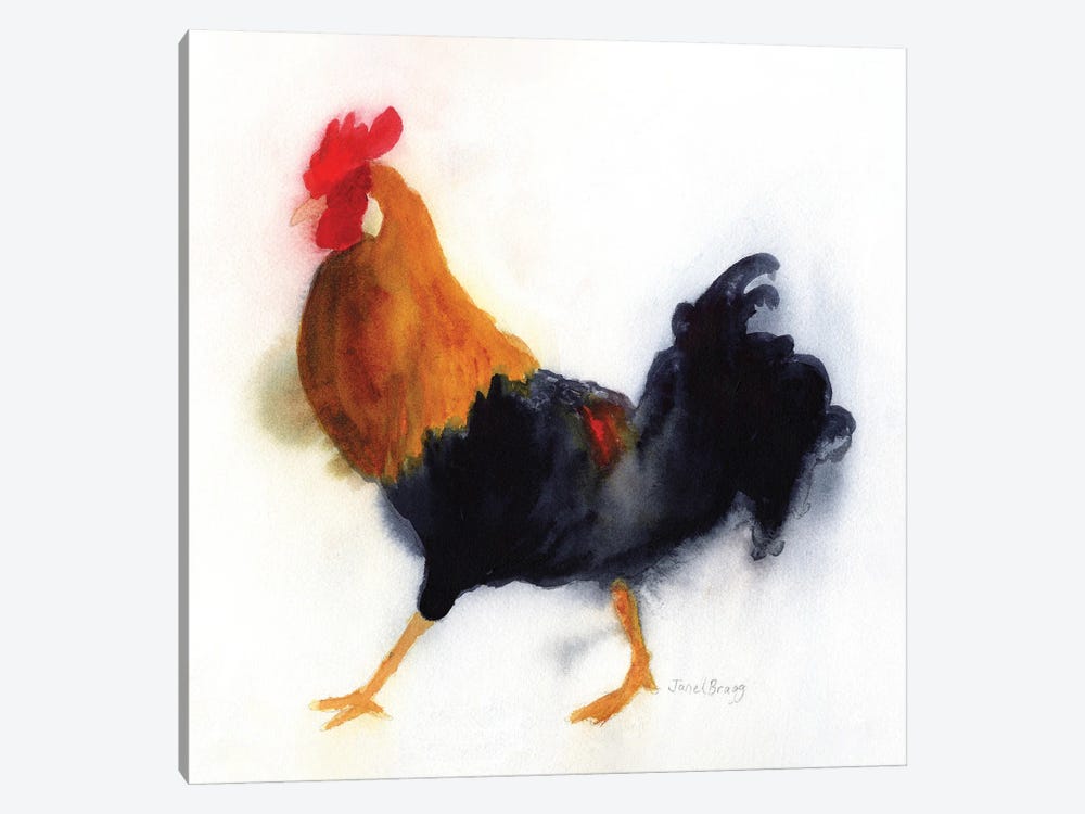 Rooster At Lydgate Park, Kauai by Janel Bragg 1-piece Canvas Print