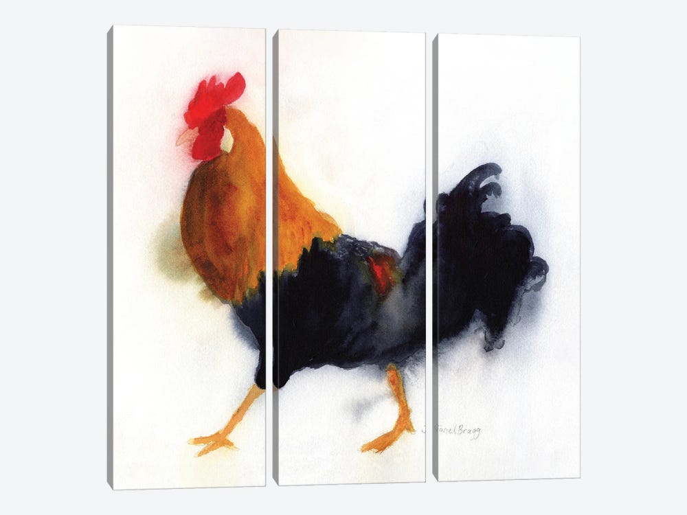 Rooster At Lydgate Park, Kauai by Janel Bragg 3-piece Canvas Print