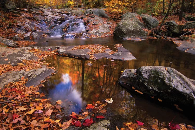 Autumn Landscape, Whiteoak Canyon, Shenandoah National Park, Virginia, USA