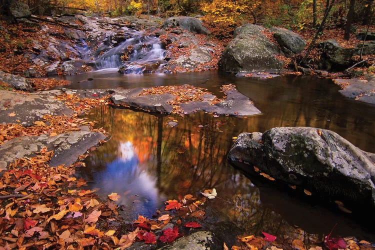 Autumn Landscape, Whiteoak Canyon, Shenandoah National Park, Virginia, USA by Jerry Ginsberg wall art