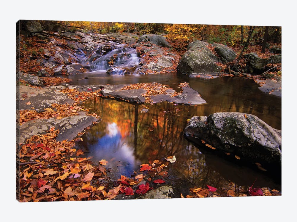 Autumn Landscape, Whiteoak Canyon, Shenandoah National Park, Virginia, USA by Jerry Ginsberg 1-piece Canvas Wall Art