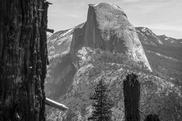 Half Dome Framed - Monochrome
