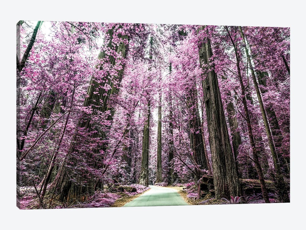 A Purple Forest by Joseph S. Giacalone 1-piece Canvas Art