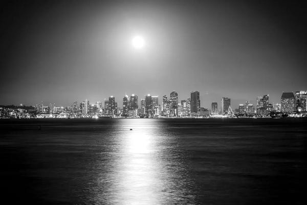 Moonlight Magic Monochrome - San Diego California