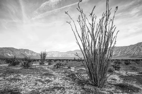 Anza-Borrego Desert State Park Monochrome