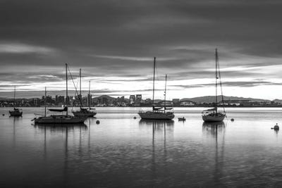 Spring Leaves - Canvas Prints: San Diego Harbor Morning Monochrome by Joseph S. Giacalone