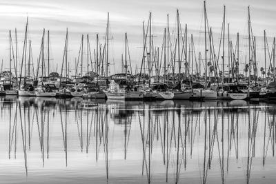 Canvas Print: A Sea Of Masts In Monochrome by Joseph S. Giacalone - thumbnail