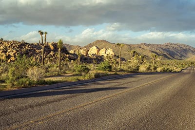 Joseph S. Giacalone - Gallery Posters: Road Trip Joshua Tree National Park by Joseph S. Giacalone