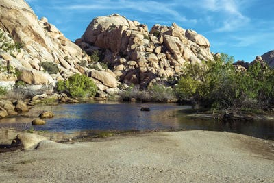 Joseph S. Giacalone - Gallery Posters: Pond At Joshua Tree National Park by Joseph S. Giacalone