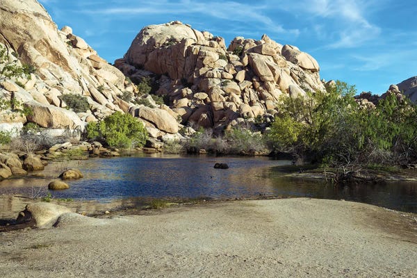 Pond At Joshua Tree National Park
