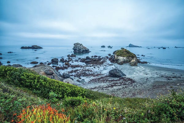 Misty Coastal Beauty - Crescent City, California