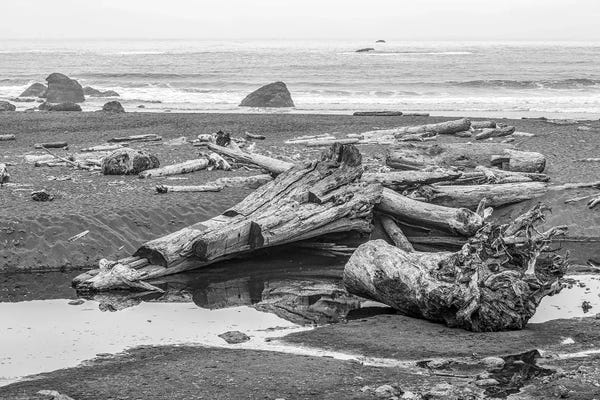 Driftwood Monochrome