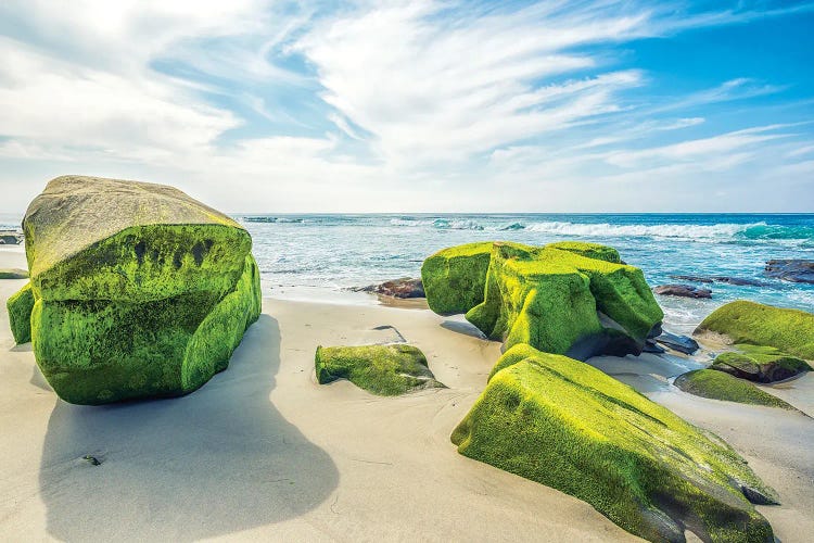 Windansea Beach Sculptures