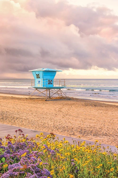 Coronado Central Beach Floral by Joseph S. Giacalone wall art