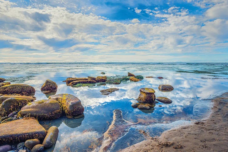 Resting In Blue by Joseph S. Giacalone wall art