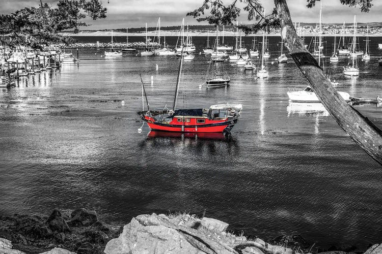 Red Boat Monterey Harbor