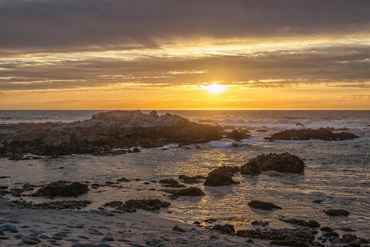 Asilomar Sunset II