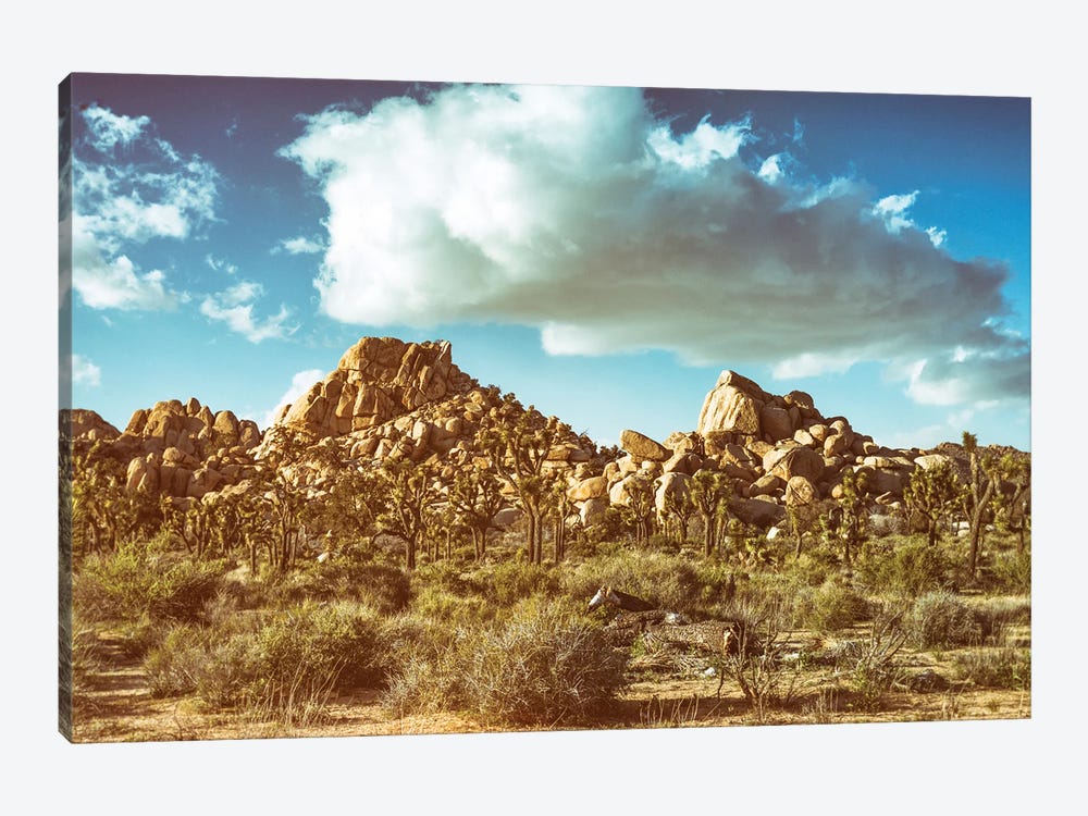 Vintage Vibes At Joshua Tree by Joseph S. Giacalone 1-piece Canvas Art